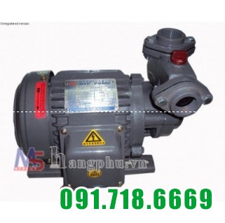 Máy bơm bánh răng vỏ gang đầu gang HCP225-1.75 26T Rờ le nhiệt