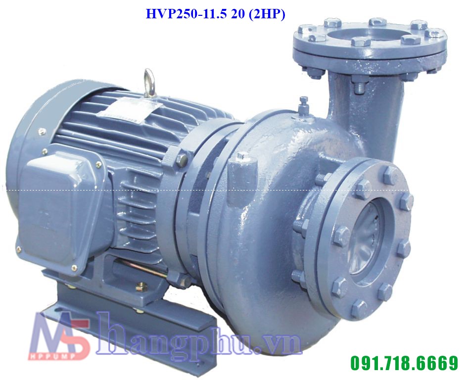 Máy bơm ly tâm dạng xoáy đầu gang HVP250-11.5 20