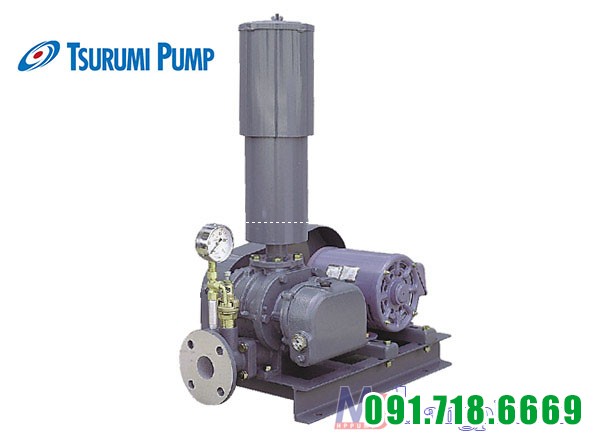 Máy thổi khí Tsurumi RSR-100 Máy thổi khí Tsurumi RSR-100