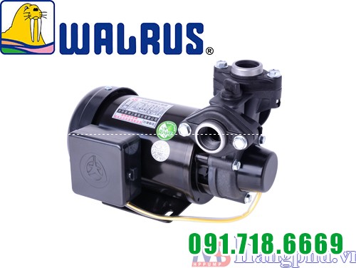 Walrus TP325 1/2HP Walrus TP325 1/2HP
