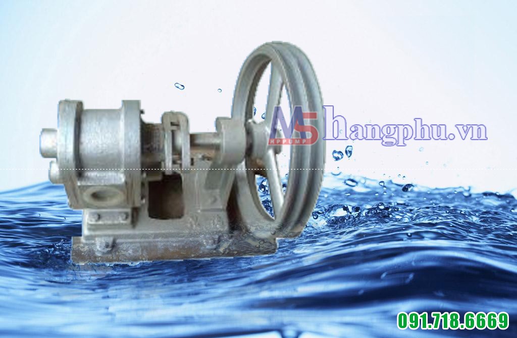 Bully trợ bơm đầu Inox phốt Amiăng A06CS1-080 AM