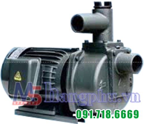 Máy bơm tự hút đầu gang HSP250-1.75 26