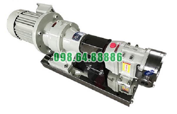 Máy bơm thùy 3RP-5 áp suất 0.6 MPa đường kính kết nối 25 mm